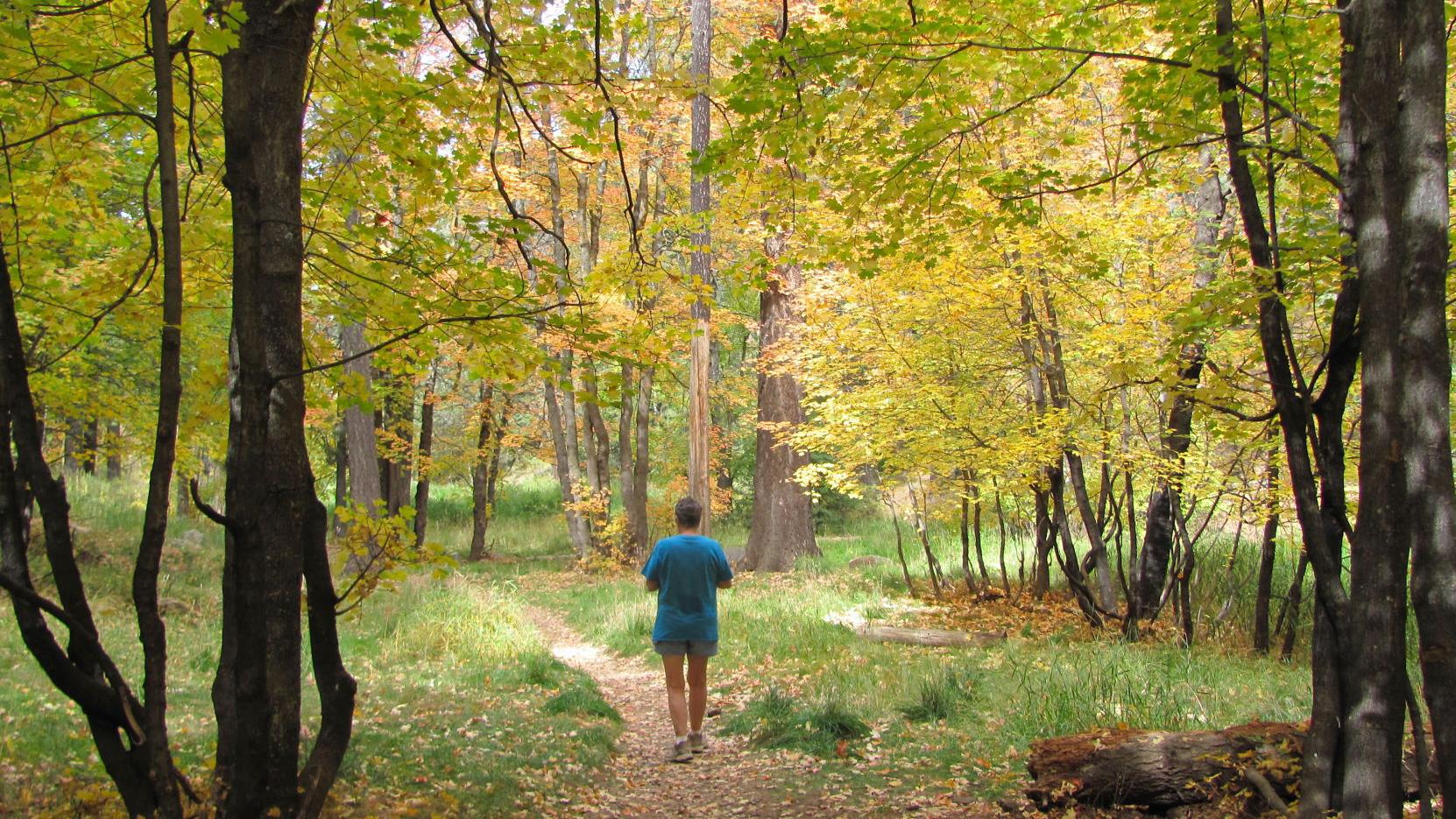 Tucson weather: Record-breaking heat has subsided